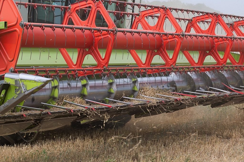 Professional Lawn Mowing Alberton Services for Healthy Lawns and Gardens 7 Lawn Mowing Alberton Services