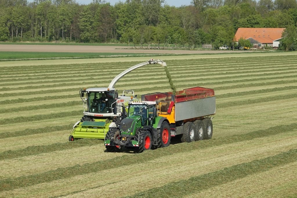 Lawn Mowing Bahrs Scrub Services