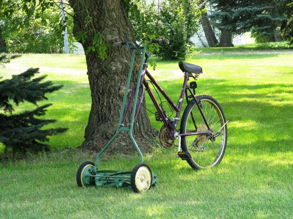 Lawn Mowing Bridges Services