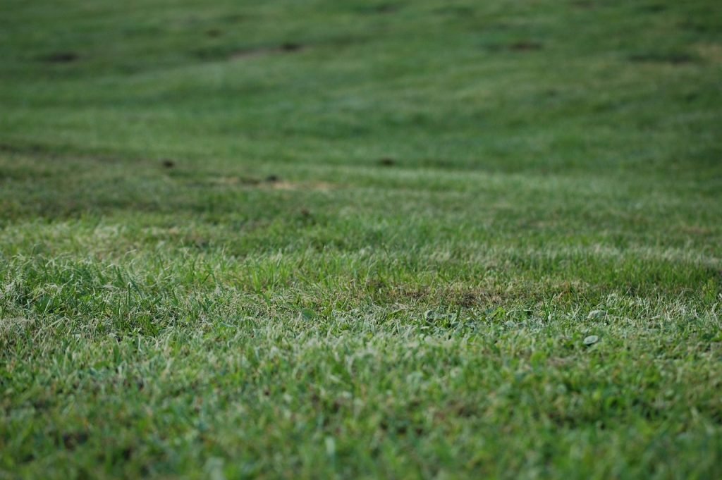 Lawn Mowing Browns Plains Services