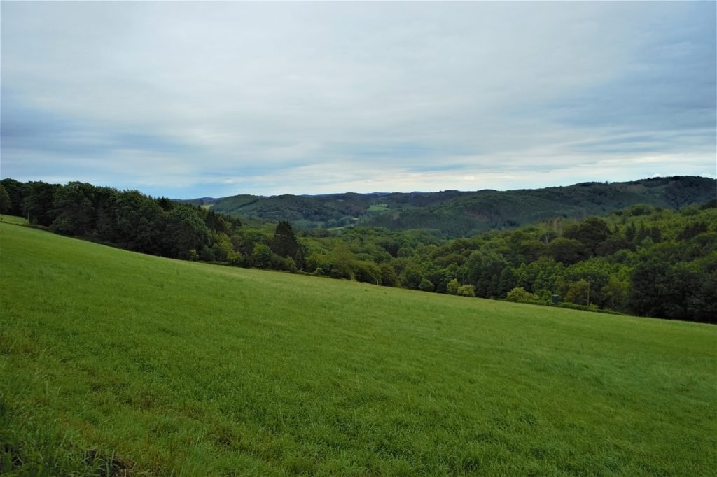 Professional Lawn Mowing Calamvale Services for Healthy Lawns and Gardens 6 Lawn Mowing Calamvale Services