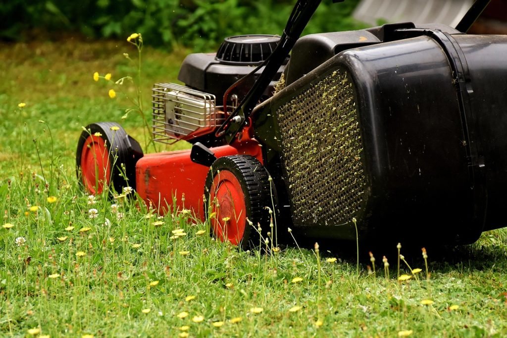 Lawn Mowing Carindale Services