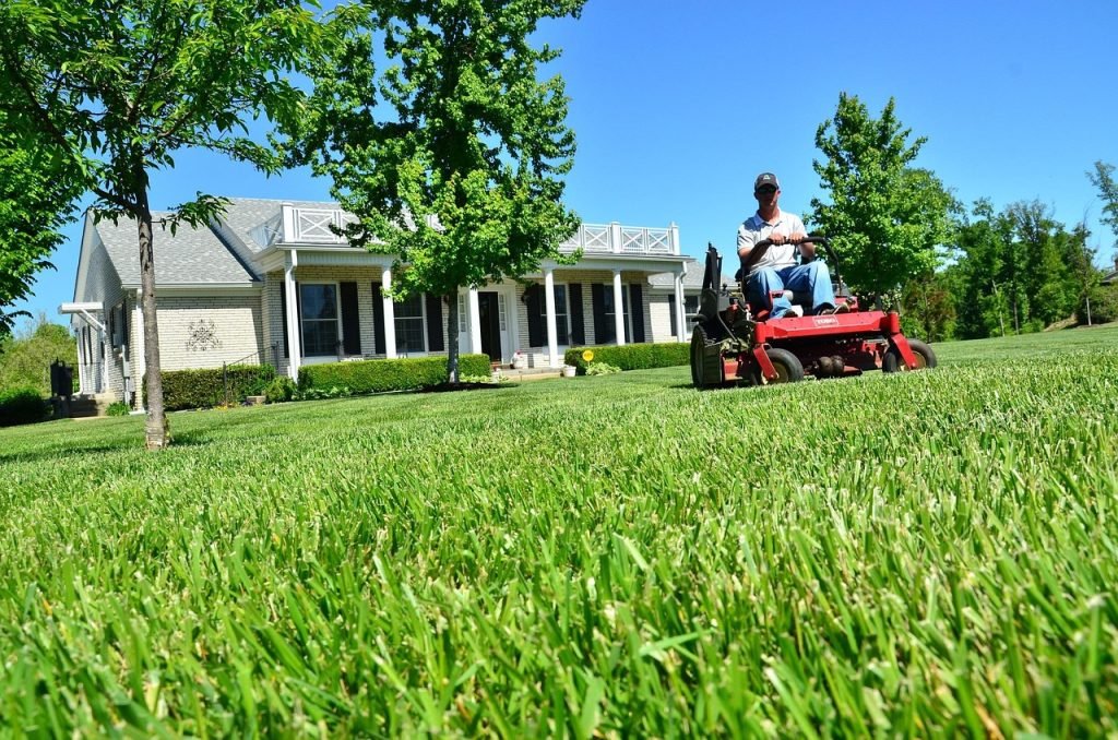 Lawn Mowing Elaman Creek Services