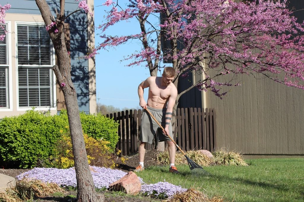 Professional Lawn Mowing Gailes Services for Healthy Lawns and Gardens 7 Lawn Mowing Gailes Services