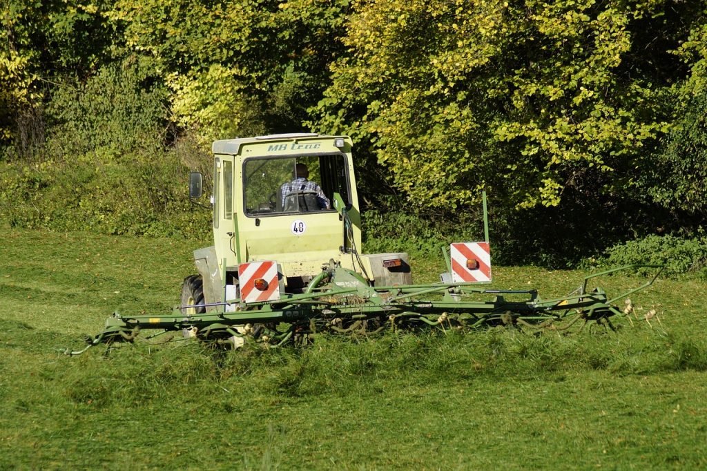 Professional Lawn Mowing Illinbah Services for Healthy Lawns and Gardens 6 Lawn Mowing Illinbah Services