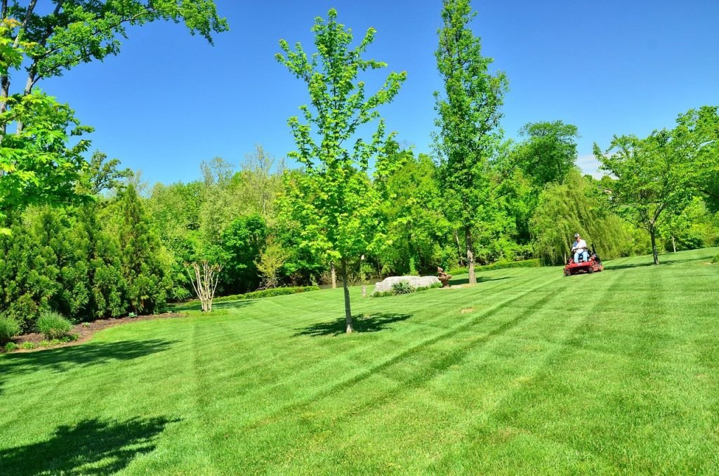 Lawn Mowing Kiel Mountain Services