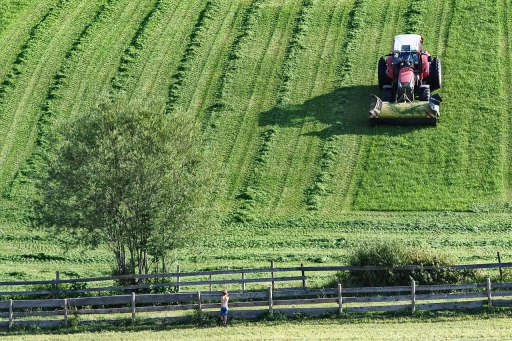 Professional Lawn Mowing Kuraby Services for Healthy Lawns and Gardens 6 Lawn Mowing Kuraby Services