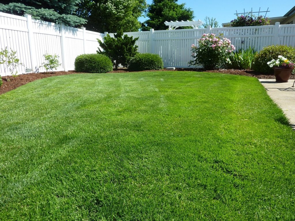 Professional Lawn Mowing Little Mountain Services for Healthy Lawns and Gardens 1 Lawn Mowing Little Mountain Services