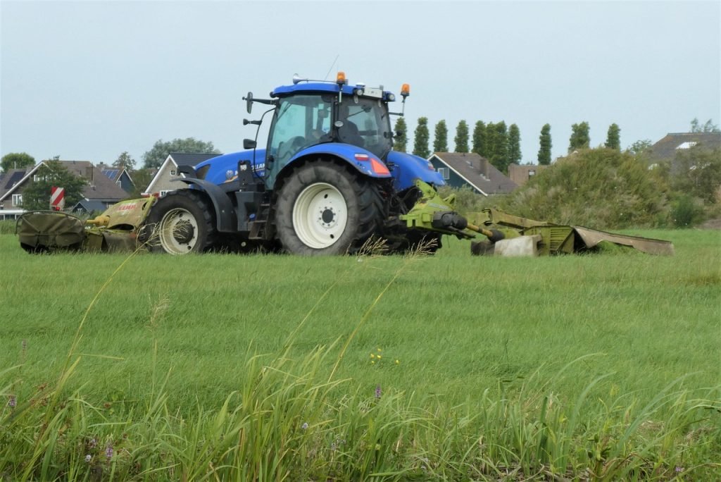 Professional Lawn Mowing Logan Village Services for Healthy Lawns and Gardens 2 Lawn Mowing Logan Village Services