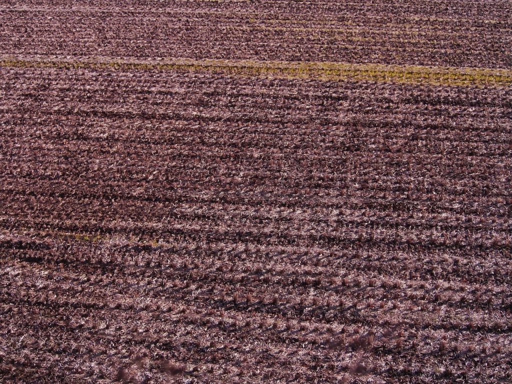 Lawn Mowing Mapleton Services