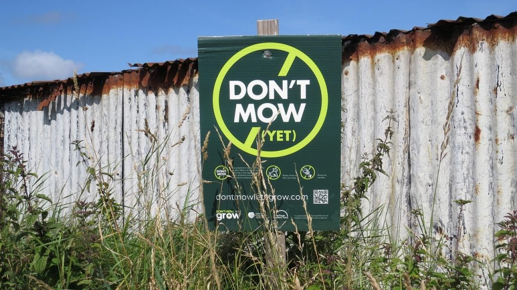 Lawn Mowing Mount Warren Park Services