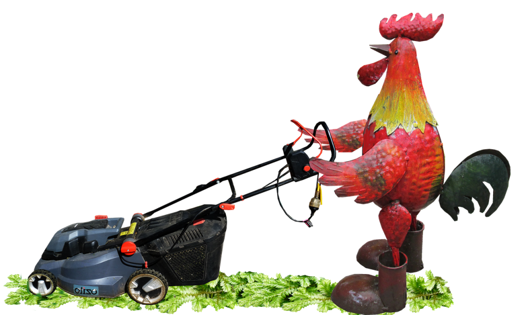 Lawn Mowing Murrumba Downs Services