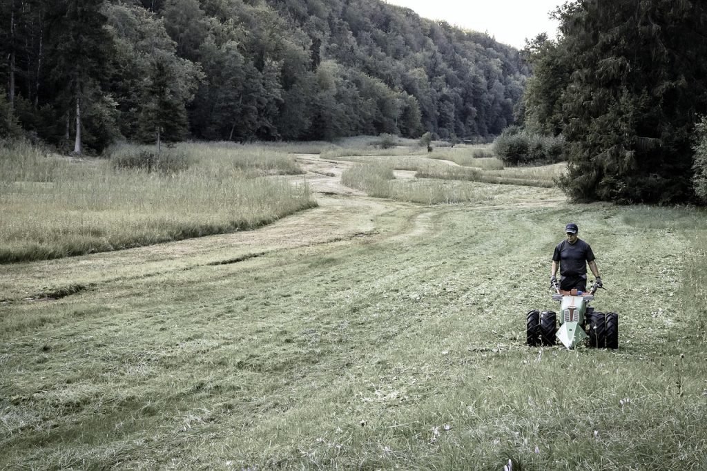 Lawn Mowing North Lakes Services