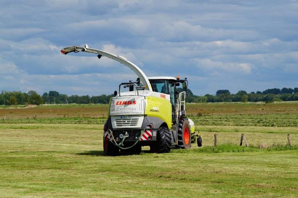 Lawn Mowing Pinkenba Services