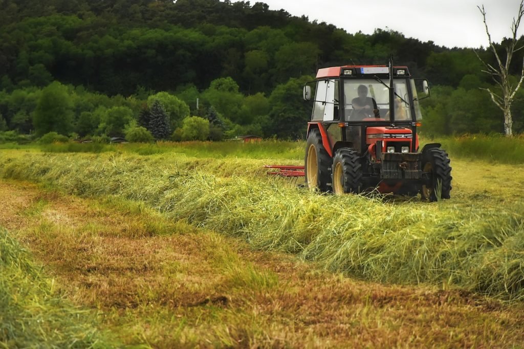 Lawn Mowing Riverview Services