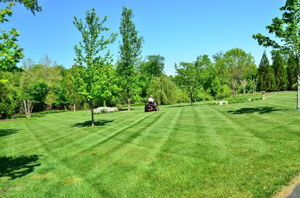 Lawn Mowing Springfield Lakes Services