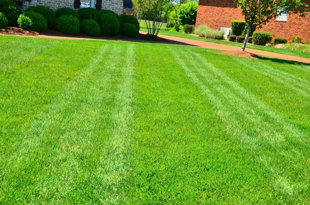 Lawn Mowing Upper Coomera Services