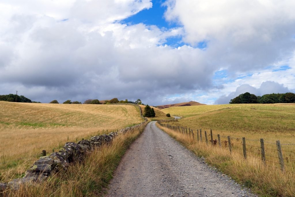Lawn Mowing Willawong Services