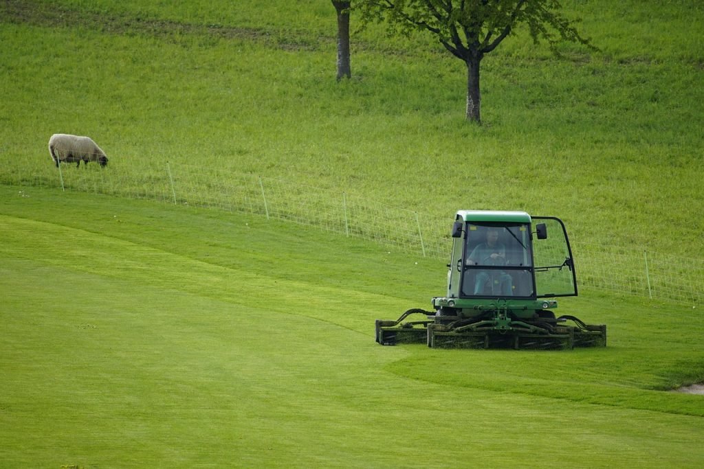 Professional Lawn Mowing Windaroo Services for Healthy Lawns and Gardens 1 Lawn Mowing Windaroo Services