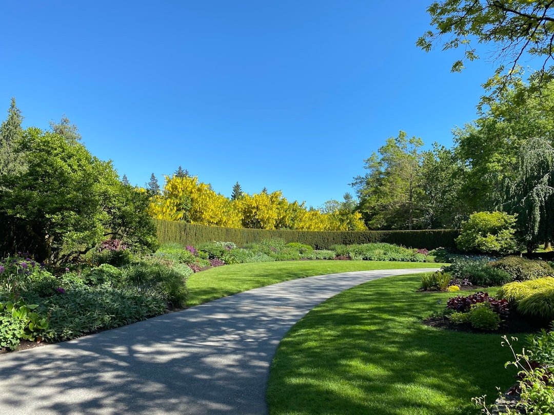 photo 1592722212832 f7219ea510da